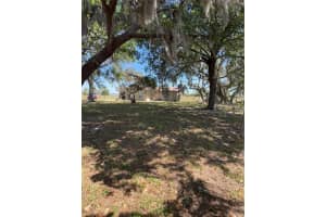 8955 RHODEN LOOP ROAD, FORT MEADE, FL 33841 - MLS#MFRTB8368581