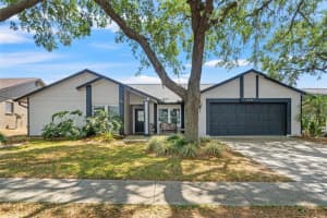 2554 Brimhollow Dr, VALRICO