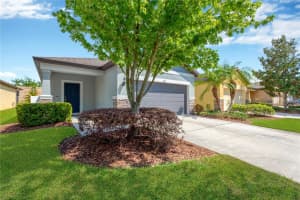 6116 MAGNOLIA PARK BOULEVARD, RIVERVIEW, FL 33578 Sold 05/09/25