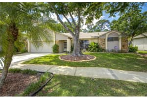 12024 Stone Crossing Cir, TAMPA
