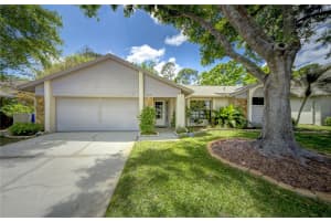 12024 STONE CROSSING CIRCLE, TAMPA, FL 33635 - MLS#MFRTB8368732