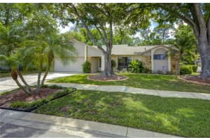 12024 STONE CROSSING CIRCLE, TAMPA, FL 33635 - MLS#MFRTB8368732