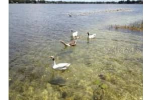 12107 LAKE CARROLL DRIVE, TAMPA, FL 33618 Sold 04/30/25