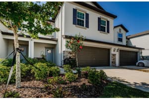 32094 POP ASH PLACE, SAN ANTONIO, FL 33576 Sold 06/10/25