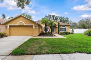 19026 DOVE CREEK DRIVE, TAMPA, FL 33647 Sold 05/30/25