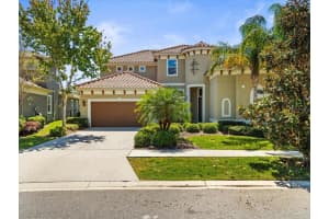 14209 QUINTESSA LANE, LITHIA, FL 33547 Sold 07/11/25
