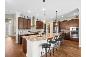 14209 QUINTESSA LANE, LITHIA, FL 33547 Sold 07/11/25
