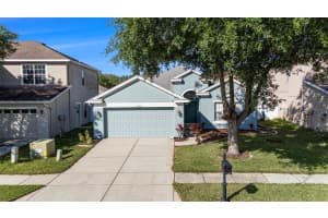 9954 JASMINE BROOK CIRCLE, LAND O LAKES, FL 34638 - MLS#MFRTB8368867