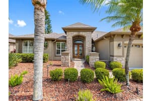 16529 IVY LAKE DRIVE, ODESSA, FL 33556 - MLS#MFRTB8368870