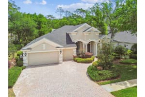 1655 EAGLES REACH, TARPON SPRINGS, FL 34688 Sold 07/18/25