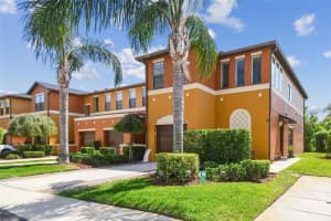 30130 MOSSBANK DRIVE, WESLEY CHAPEL, FL 33543 - MLS#MFRTB8368965