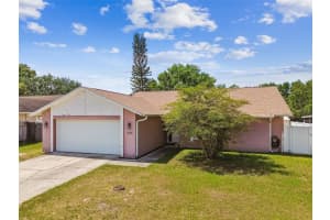 12710 TRUCIOUS PLACE, TAMPA, FL 33625 Sold 06/11/25