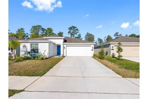 1312 PEACH CREEK DRIVE, OSTEEN, FL 32764 - MLS#MFRTB8369059