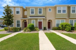 7029 White Treetop Pl, RIVERVIEW