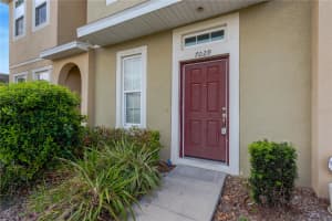 7029 WHITE TREETOP PLACE, RIVERVIEW, FL 33578 - MLS#MFRTB8369152