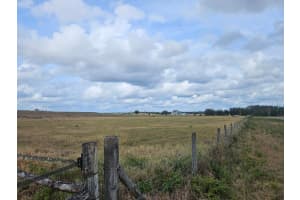 SUNNYHILL DR, BROOKSVILLE, FL 34602 - MLS#MFRTB8369178