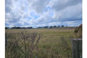 SUNNYHILL DR, BROOKSVILLE, FL 34602 - MLS#MFRTB8369178