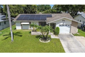 2955 BRIAR CLIFF DRIVE, PALM HARBOR, FL 34684 - MLS#MFRTB8369188