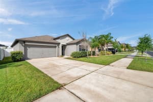 4201 GLOBE THISTLE DRIVE, TAMPA, FL 33619 Sold 08/22/25