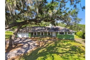 2041 CURLEW ROAD, PALM HARBOR, FL 34683 Sold 05/09/25