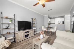 4221 SPRUCE STREET, TAMPA, FL 33607 - MLS#MFRTB8369221