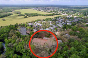 25231 BALD CYPRESS LANE, LUTZ, FL 33559 Sold 05/28/25