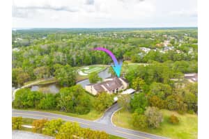 50 St Andrews Pl #50, OLDSMAR