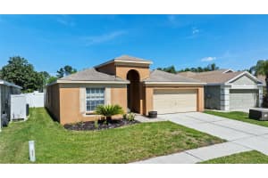 26850 Middleground Loop, WESLEY CHAPEL