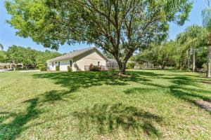 19117 CENTRE ROSE BOULEVARD, LUTZ, FL 33558 Sold 05/16/25