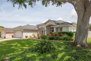 949 BELTED KINGFISHER DRIVE, PALM HARBOR, FL 34683 Sold 05/05/25