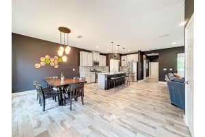 12956 WILDGRASS TRAIL, ODESSA, FL 33556 Sold 06/03/25