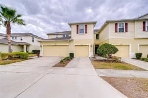 10822 Verawood Dr, RIVERVIEW