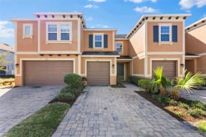 3214 PAINTED BLOSSOM COURT, LUTZ, FL 33558 - MLS#MFRTB8369404