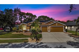 4508 COMPASS OAKS DRIVE, VALRICO, FL 33596 Sold 06/16/25