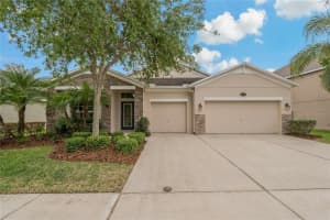 10734 Breaking Rocks Dr, TAMPA
