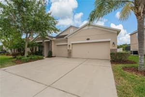 10734 BREAKING ROCKS DRIVE, TAMPA, FL 33647 - MLS#MFRTB8369421