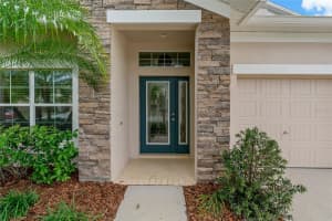 10734 BREAKING ROCKS DRIVE, TAMPA, FL 33647 - MLS#MFRTB8369421