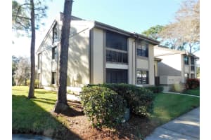 337 WOODLAKE WYNDE, OLDSMAR, FL 34677 - MLS#MFRTB8369530