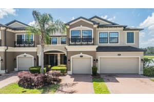 18860 BEAUTYBERRY COURT, LUTZ, FL 33558 Sold 08/08/25