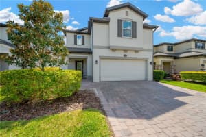 19592 BREYNIA DRIVE, LUTZ, FL 33558 - MLS#MFRTB8369606