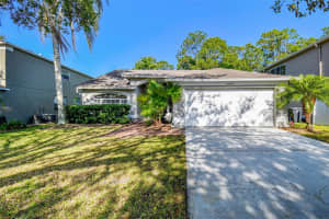 12929 ROYAL GEORGE AVENUE, ODESSA, FL 33556 Sold 06/10/25