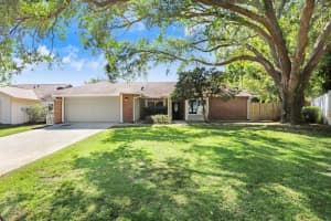 2558 Arborwood Dr, VALRICO