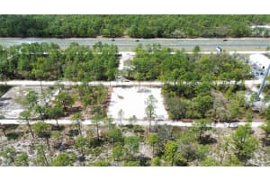NECKLACE WARBLER AVE, WEEKI WACHEE, FL 34613 - MLS#MFRTB8369875