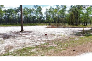 NECKLACE WARBLER AVE, WEEKI WACHEE, FL 34613 - MLS#MFRTB8369875