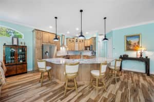 490 SILVER MOSS LANE, TARPON SPRINGS, FL 34688 - MLS#MFRTB8369876