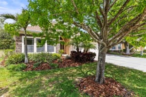 11534 BIDDEFORD PLACE, NEW PORT RICHEY, FL 34654 Sold 06/20/25