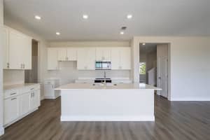 10037 SURREY ROSE DRIVE, SAN ANTONIO, FL 33576 Sold 07/09/25