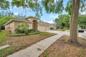 19728 MORDEN BLUSH DRIVE, LUTZ, FL 33558 Sold 05/09/25