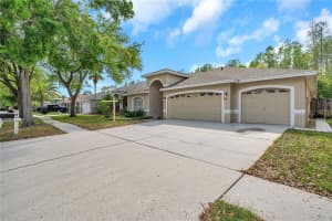 19728 MORDEN BLUSH DRIVE, LUTZ, FL 33558 Sold 05/09/25