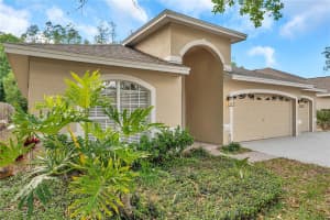 19728 MORDEN BLUSH DRIVE, LUTZ, FL 33558 Sold 05/09/25